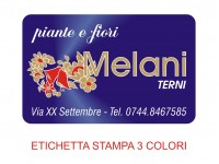 Etichette adesive grandi per fioristi, fiorai e vivaisti (mm 54x34)  (cod.58G)